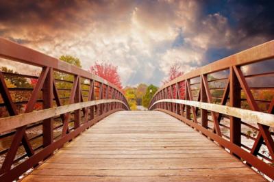 wooden bridge