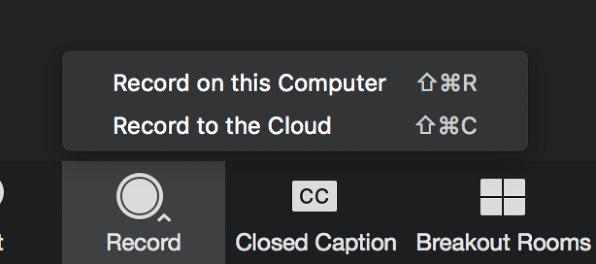 screenshot of zoom recording options